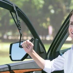 CAR CADDIE Car Window Standing Strap NEW